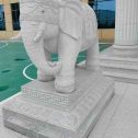 攀枝花 白麻花岗岩动物异形石雕-大象