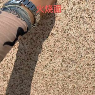 攀枝花黄金麻火烧面