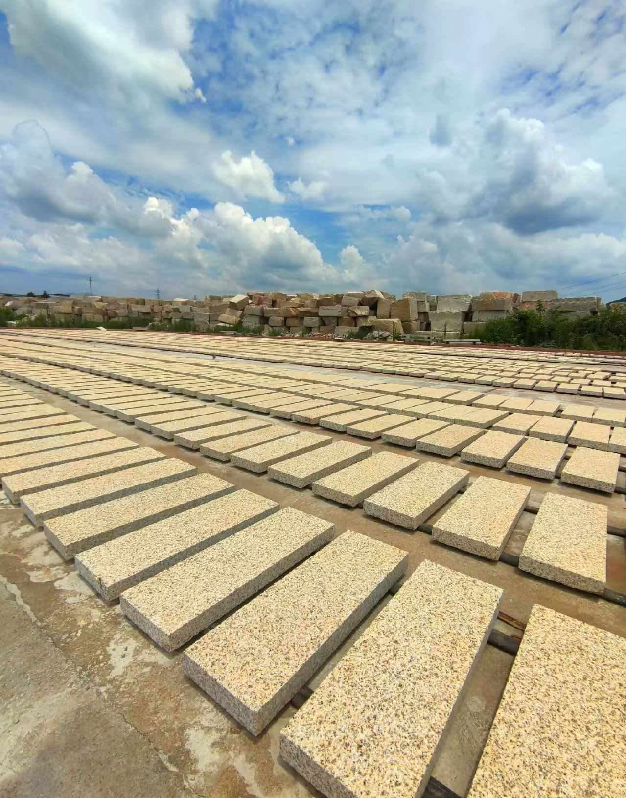 攀枝花 黄金麻荔枝面花岗岩石材地铺石防护中
