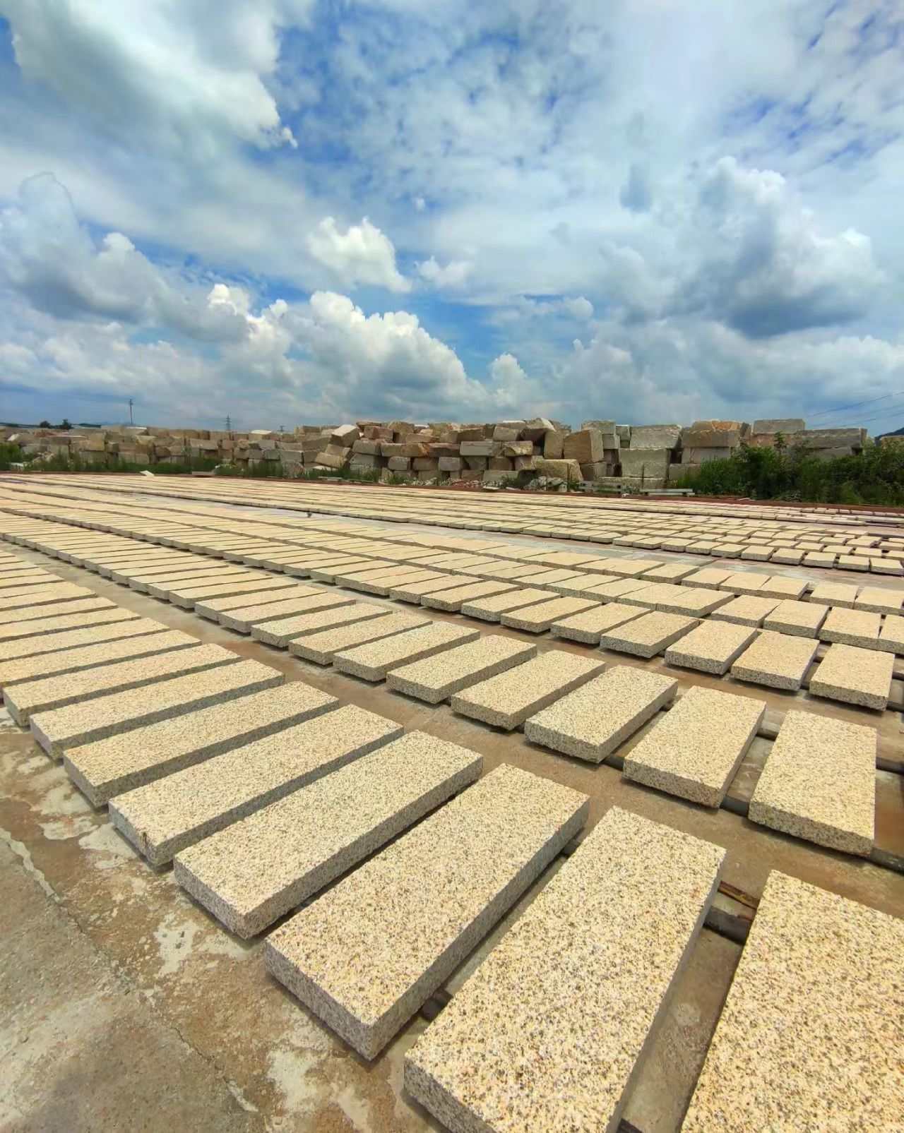 攀枝花 黄金麻花岗岩荔枝面地铺石防护中