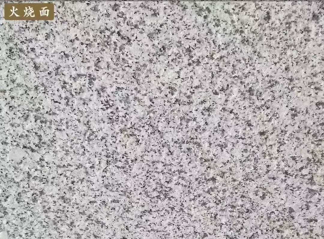 攀枝花白麻火烧面